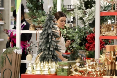 shoppingtarget011122-022.JPG