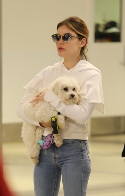 HQ

