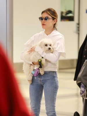 HQ
