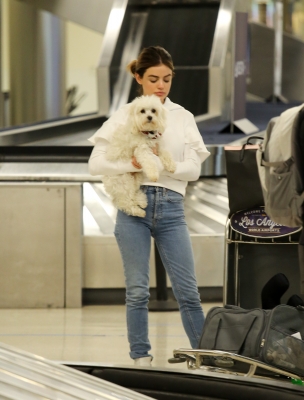 HQ

