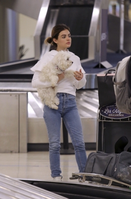 HQ
