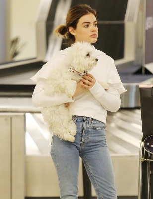 HQ
