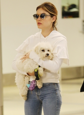 HQ
