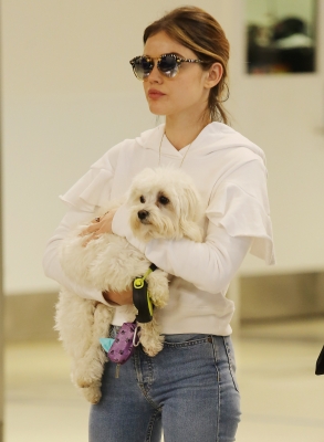 HQ
