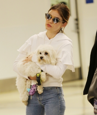 HQ
