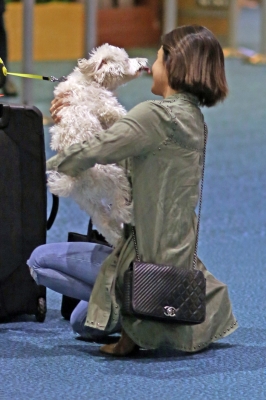 HQ
