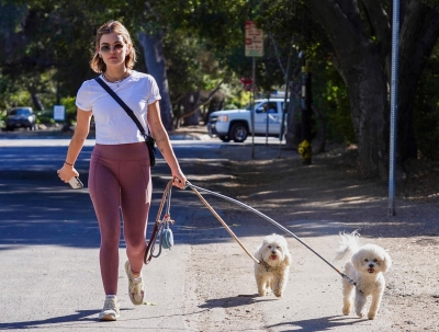 walkingdogs07032022-004.JPG
