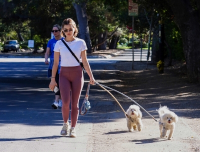walkingdogs07032022-007.JPG