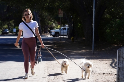 walkingdogs07032022-028.JPG