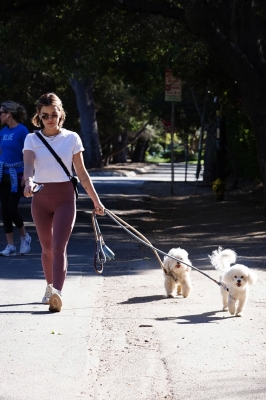 walkingdogs07032022-029.JPG