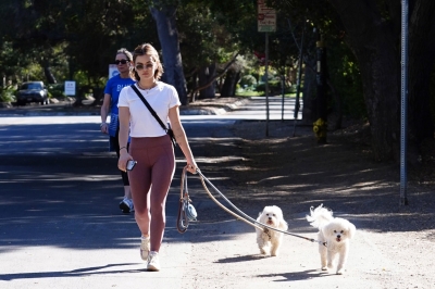 walkingdogs07032022-031.JPG