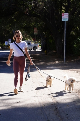 walkingdogs07032022-034.JPG