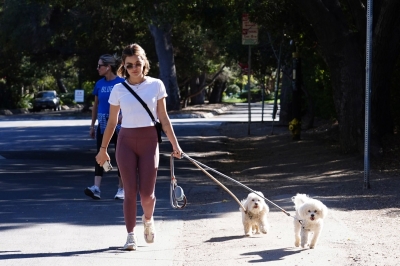walkingdogs07032022-038.JPG