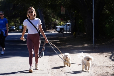 walkingdogs07032022-039.JPG