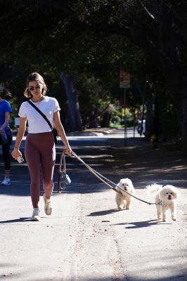walkingdogs07032022-041.JPG