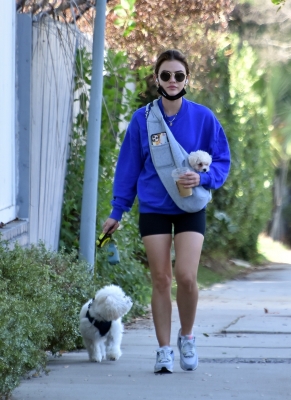 walkingherdogsinla110221_009.jpg