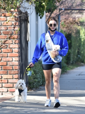 walkingherdogsinla110221_014.jpg