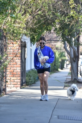 walkingherdogsinla110221_015.jpg