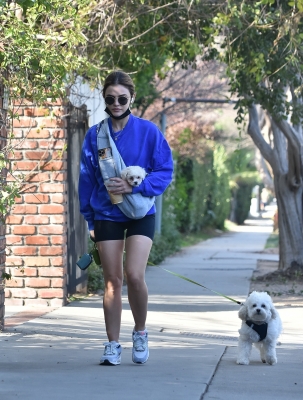 walkingherdogsinla110221_016.jpg