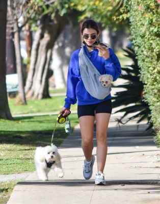 walkingherdogsinla110221_025.jpg