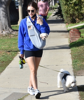 walkingherdogsinla110221_049.jpg