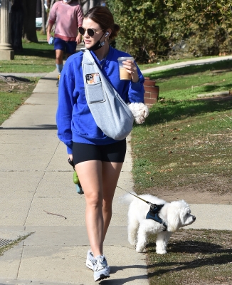 walkingherdogsinla110221_050.jpg