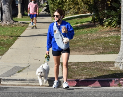 walkingherdogsinla110221_063.jpg