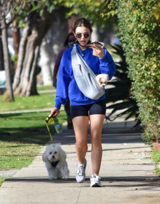 walkingherdogsinla110221_068.jpg