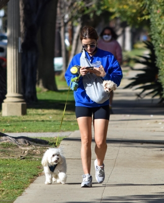 walkingherdogsinla110221_070.jpg