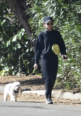 walkingla040221-016.jpg