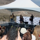1027coyote270714-031.jpg
