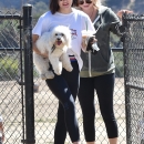 AtDogPark160918-006.jpg