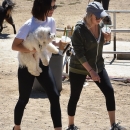 AtDogPark160918-010.jpg