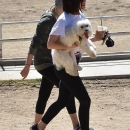 AtDogPark160918-011.jpg