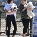 AtDogPark160918-013.jpg