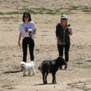 AtDogPark160918-019.jpg