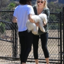 AtDogPark160918-034.jpg