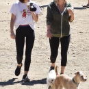 AtDogPark160918-058.jpg