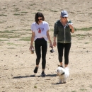 AtDogPark160918-064.jpg