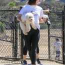 AtDogPark160918-070.jpg