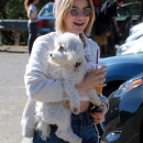 AtDogsParkWithElvis081218_014.jpg