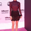 Filename=BBMAS2016-151.jpg
Filesize=1490KiB
Dimensions=2289x3600
Date added=May 26, 2016 BBMAS2016-151.jpg