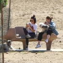 DogPark190918-003.jpg