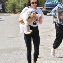 DogPark190918-035.jpg
