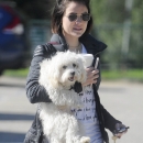 DogPark240217-001.jpg