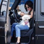 Dropsherdogsatdaycarecenter_013.jpg