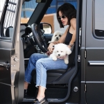 Dropsherdogsatdaycarecenter_015.jpg