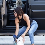 Dropsherdogsatdaycarecenter_016.jpg