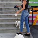 Dropsherdogsatdaycarecenter_017.jpg