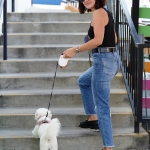 Dropsherdogsatdaycarecenter_018.jpg